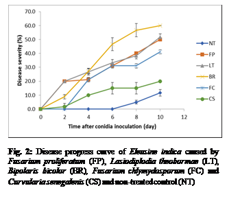 Text Box:  

Fig. 2: Disease progress curve of Eleusine indica caused by Fusarium proliferatum (FP), Lasiodiplodia theobormae (LT), Bipolaris bicolor (BR), Fusarium chlymydosporum (FC) and Curvularia senegalenis (CS) and non-treated control (NT)
